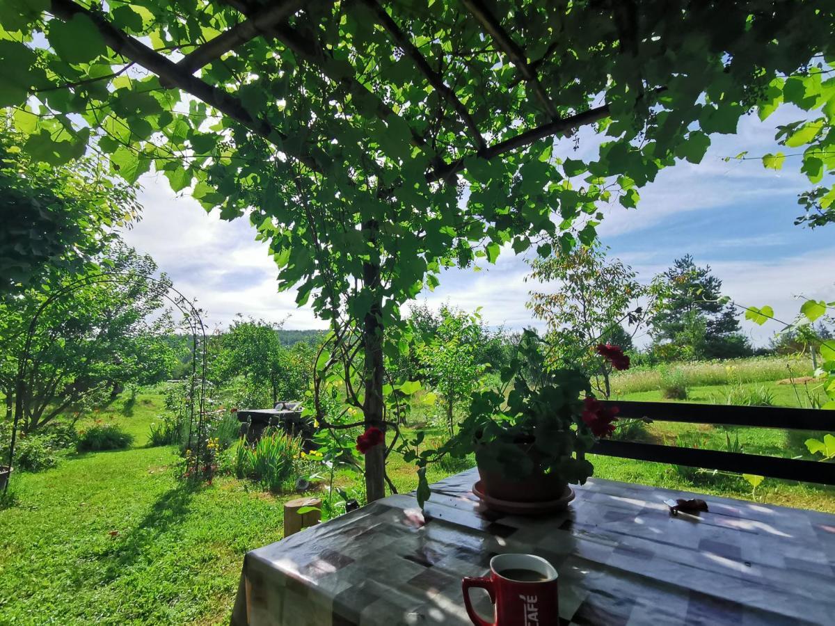 Apartment Manda Rakovica Dış mekan fotoğraf