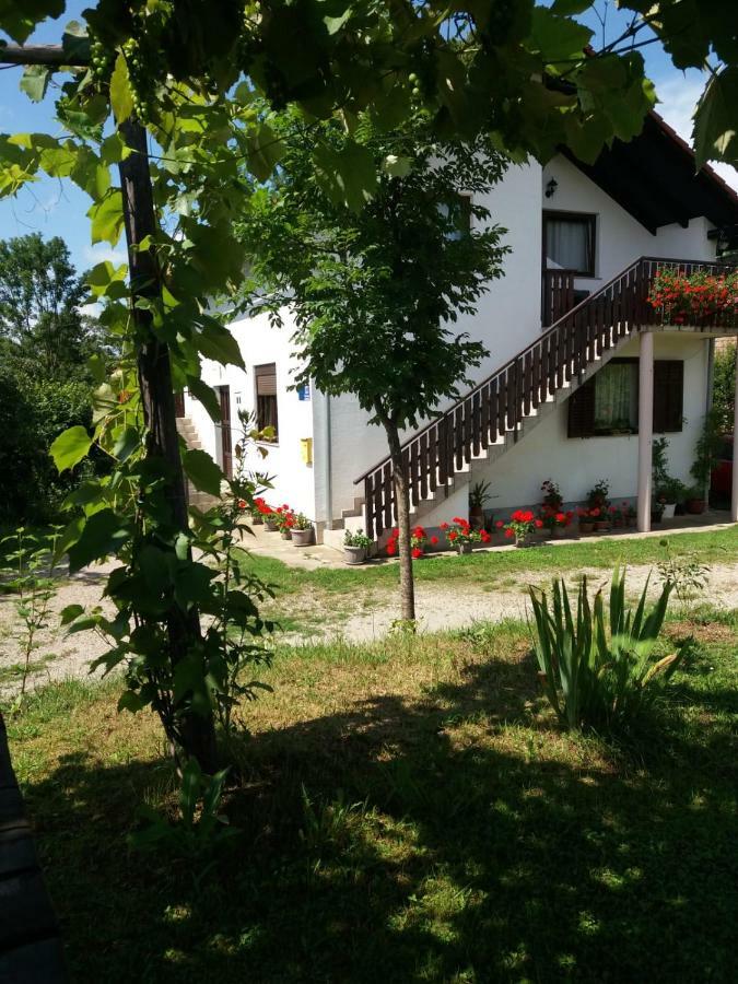 Apartment Manda Rakovica Dış mekan fotoğraf