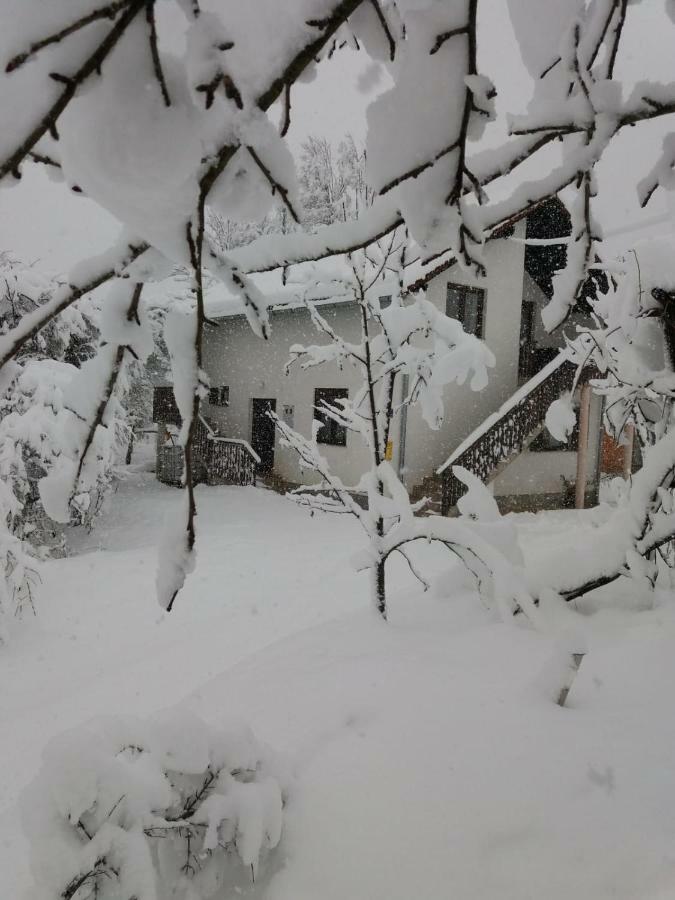 Apartment Manda Rakovica Dış mekan fotoğraf